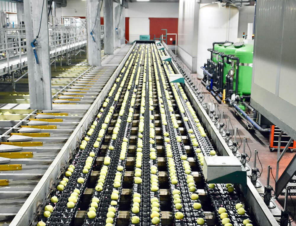 beverage processing factory , photo by arno senoner