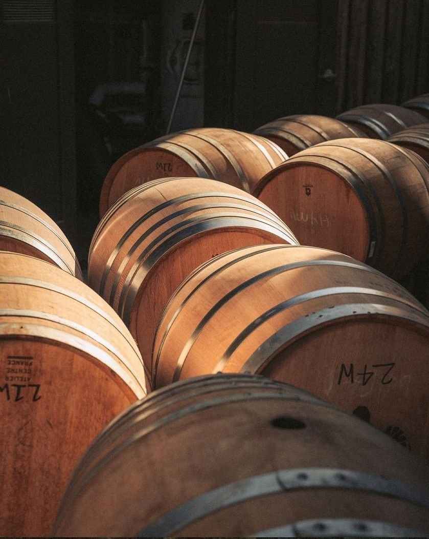 Rum barrels resting in a dark cellar